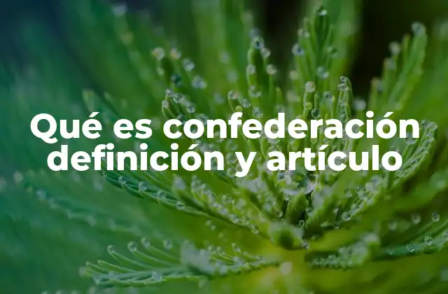 Qué es Confederación Definición y Artículo