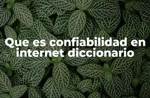 Que es Confiabilidad en Internet Diccionario