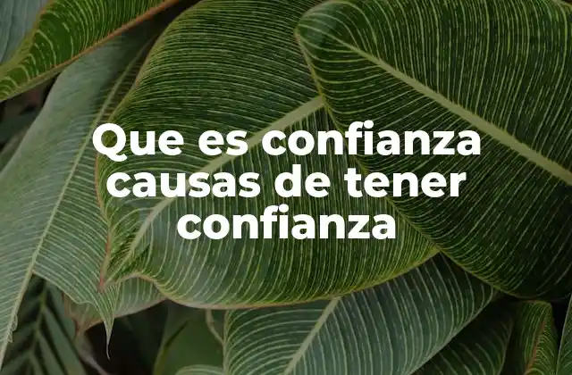 Que es Confianza Causas de Tener Confianza