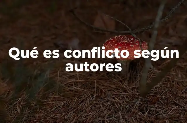 Qué es Conflicto según Autores