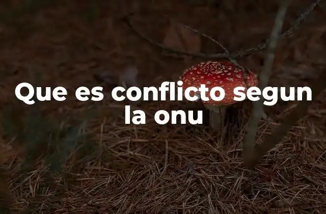 Que es Conflicto Segun la Onu