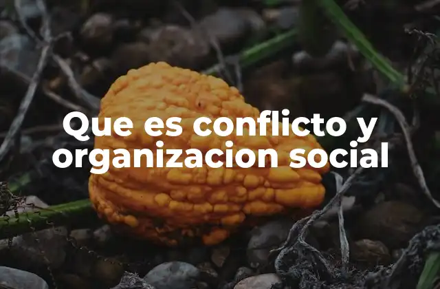 Que es Conflicto y Organizacion Social