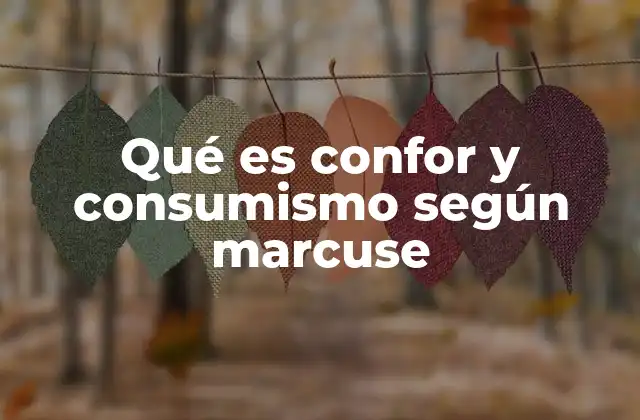 Qué es Confor y Consumismo según Marcuse