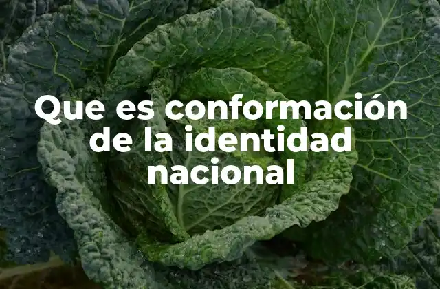 Que es Conformación de la Identidad Nacional
