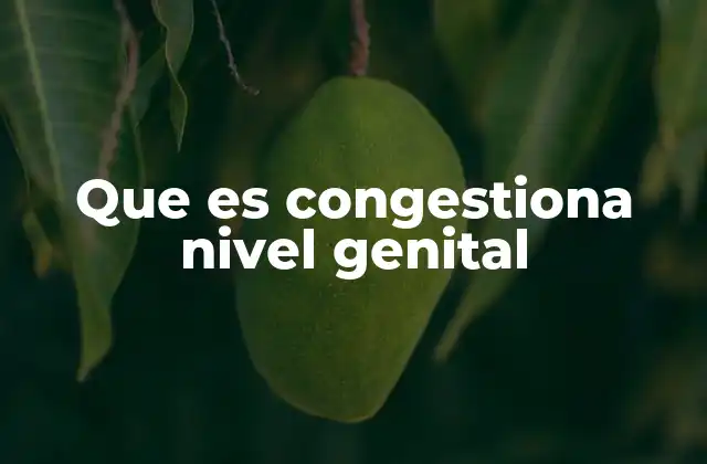 Que es Congestiona Nivel Genital 2 La relación entre la congestión genital y la salud sexual