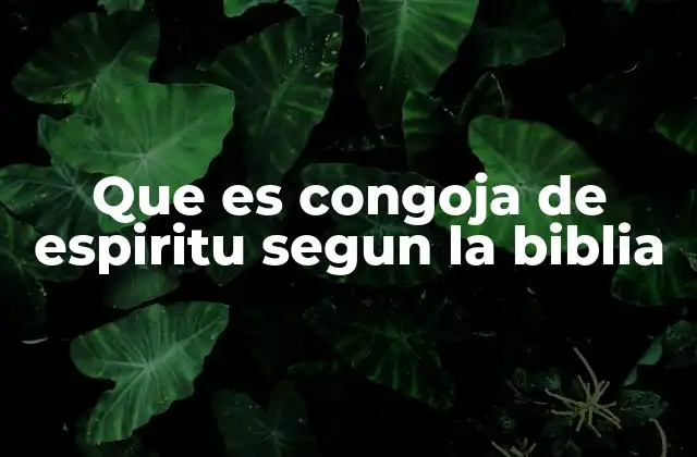 Que es Congoja de Espiritu Segun la Biblia 2 La congoja de espíritu como experiencia humana y espiritual