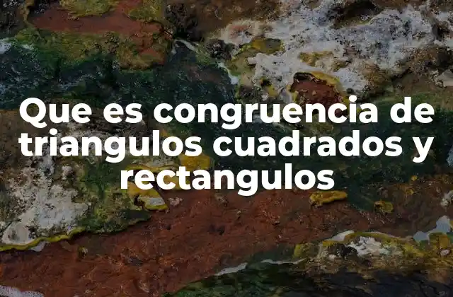 Que es Congruencia de Triangulos Cuadrados y Rectangulos 2 Cómo identificar la congruencia sin mencionar directamente la palabra clave