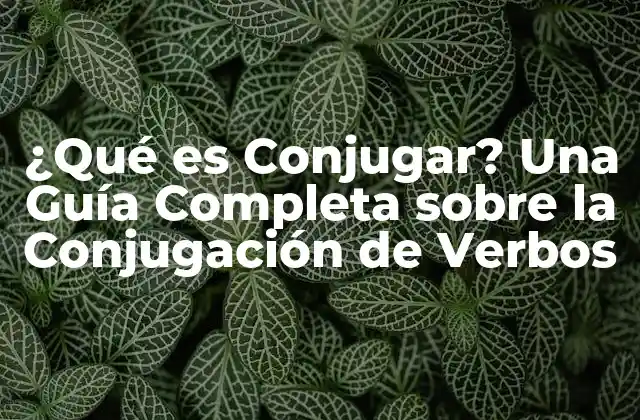 ¿qué es Conjugar? una Guía Completa sobre la Conjugación de Verbos
