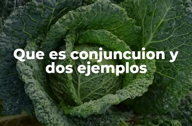 Que es Conjuncuion y Dos Ejemplos