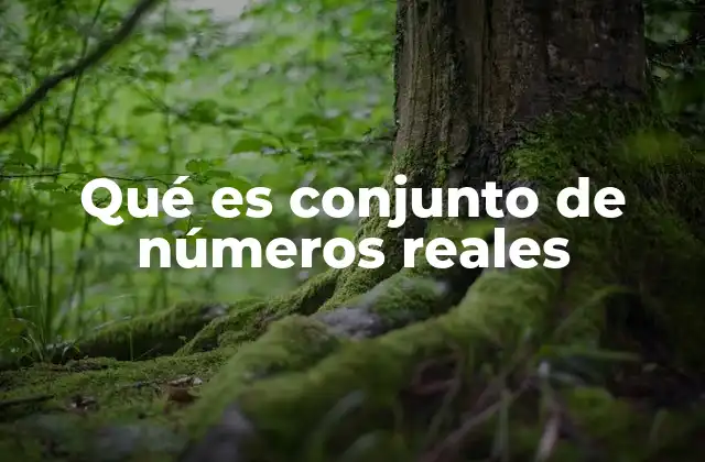 Qué es Conjunto de Números Reales 2 La importancia de la recta numérica en la comprensión de los números reales