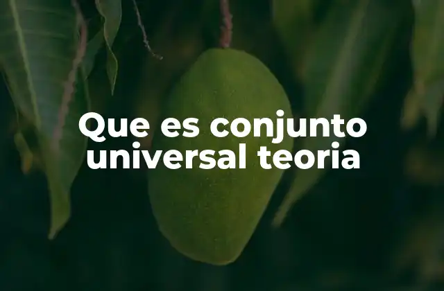 Que es Conjunto Universal Teoria