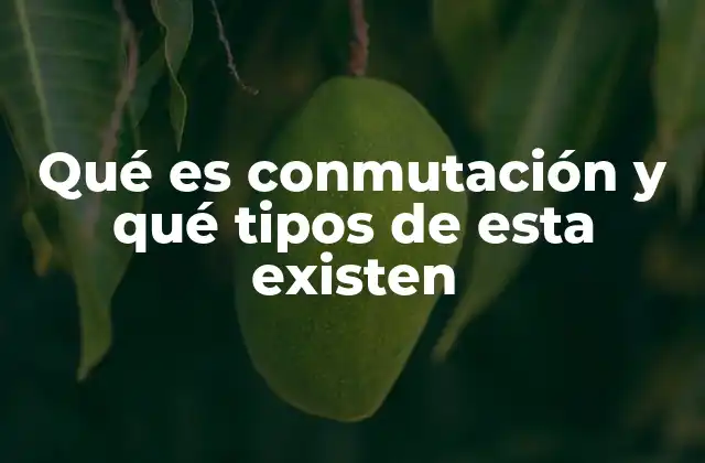 Qué es Conmutación y Qué Tipos de Esta Existen