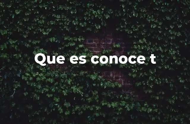 Que es Conoce T