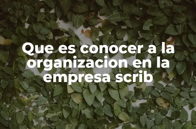 Que es Conocer a la Organizacion en la Empresa Scrib