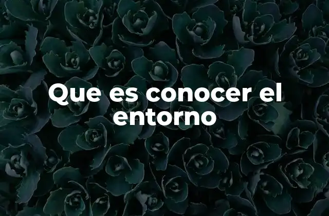 Que es Conocer el Entorno
