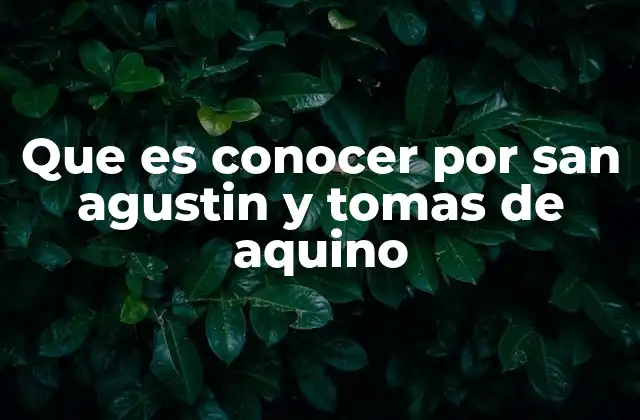 Que es Conocer por San Agustin y Tomas de Aquino