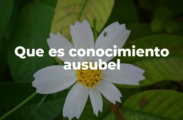 Que es Conocimiento Ausubel