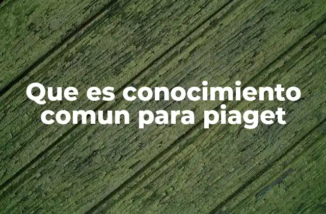 Que es Conocimiento Comun para Piaget 2 El conocimiento común y la interacción social en la teoría de Piaget