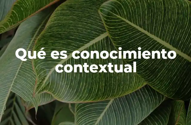 Qué es Conocimiento Contextual