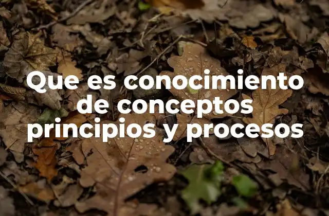 La importancia de estructurar el aprendizaje en torno a estos elementos