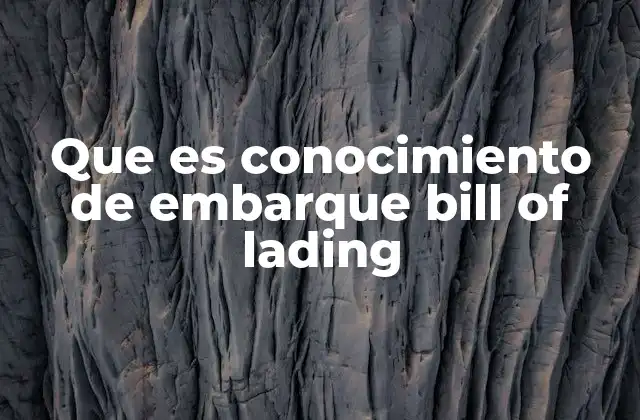 Que es Conocimiento de Embarque Bill Of Lading