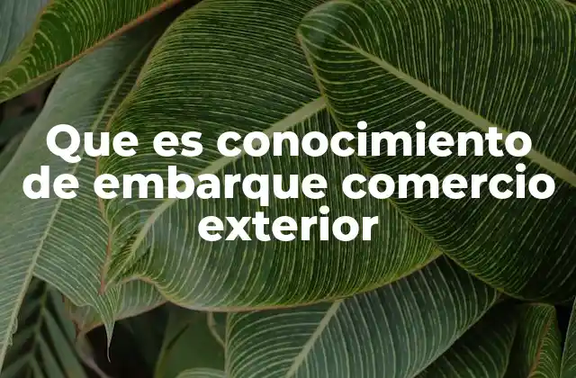 Que es Conocimiento de Embarque Comercio Exterior