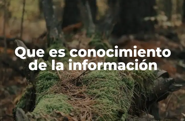 La importancia de comprender la información en el entorno digital