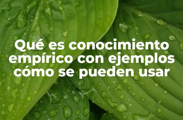 Qué es Conocimiento Empírico con Ejemplos Cómo Se Pueden Usar