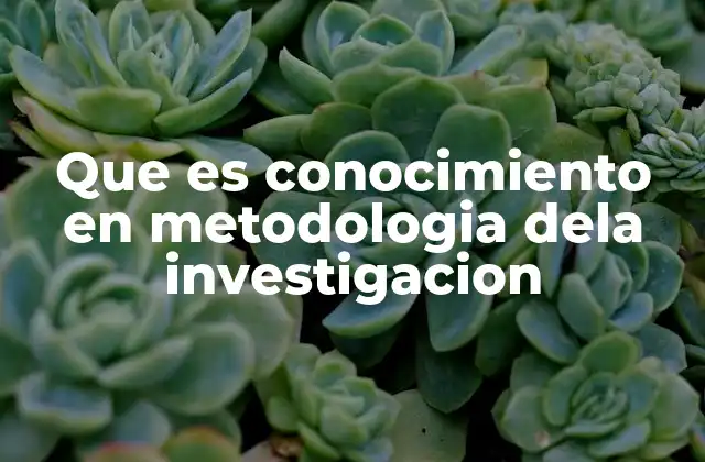 Que es Conocimiento en Metodologia Dela Investigacion