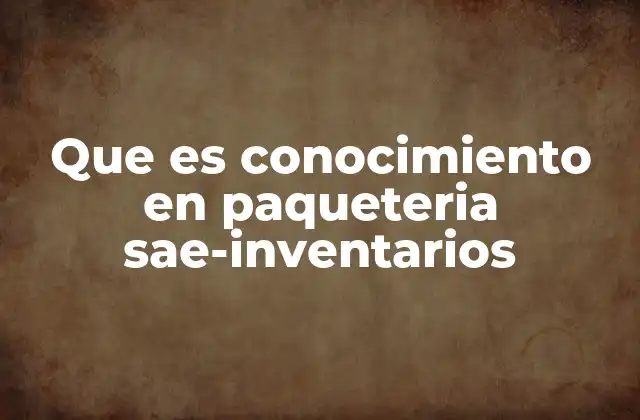 La importancia del control de inventario en la logística moderna