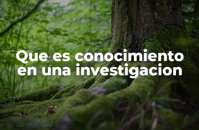 Que es Conocimiento en una Investigacion