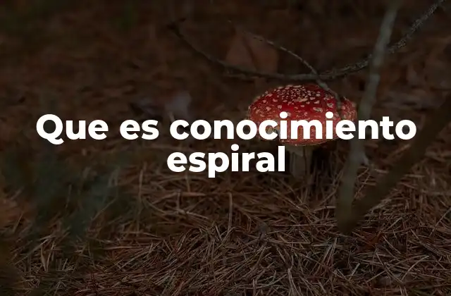 Que es Conocimiento Espiral 2 El aprendizaje como un proceso en evolución