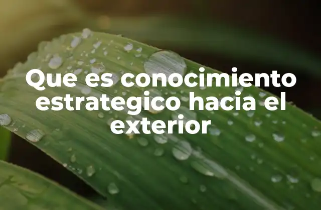 Que es Conocimiento Estrategico hacia el Exterior