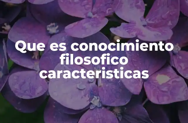 Que es Conocimiento Filosofico Caracteristicas
