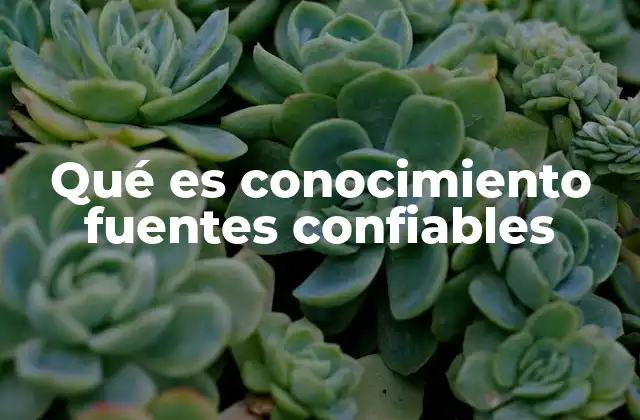 Qué es Conocimiento Fuentes Confiables