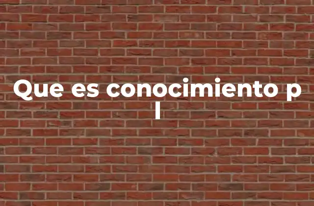 Que es Conocimiento P L