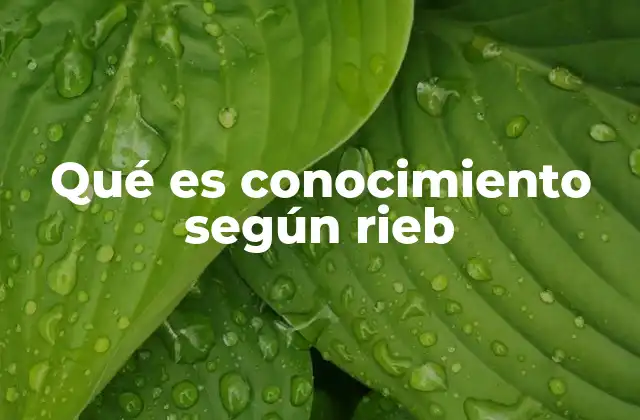 Qué es Conocimiento según Rieb