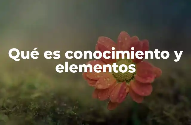 Qué es Conocimiento y Elementos