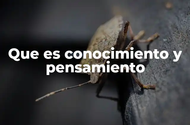 Que es Conocimiento y Pensamiento