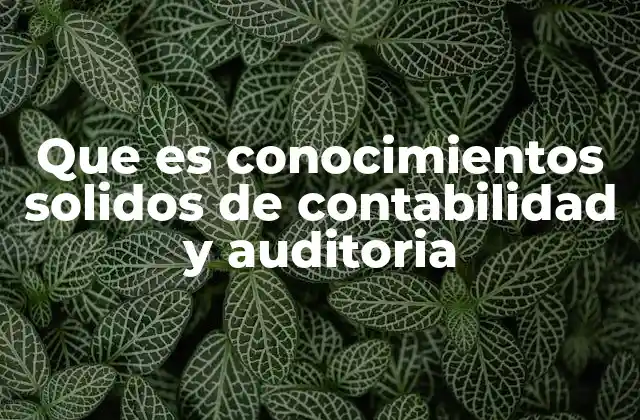 Que es Conocimientos Solidos de Contabilidad y Auditoria