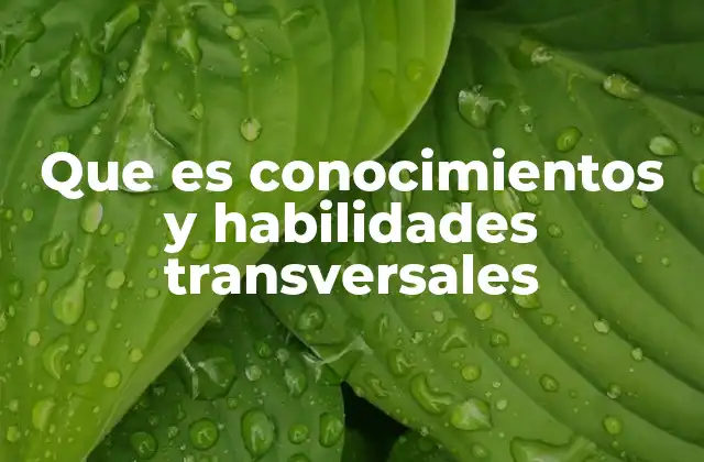 Que es Conocimientos y Habilidades Transversales 2 La importancia de desarrollar competencias que trasciendan las especialidades