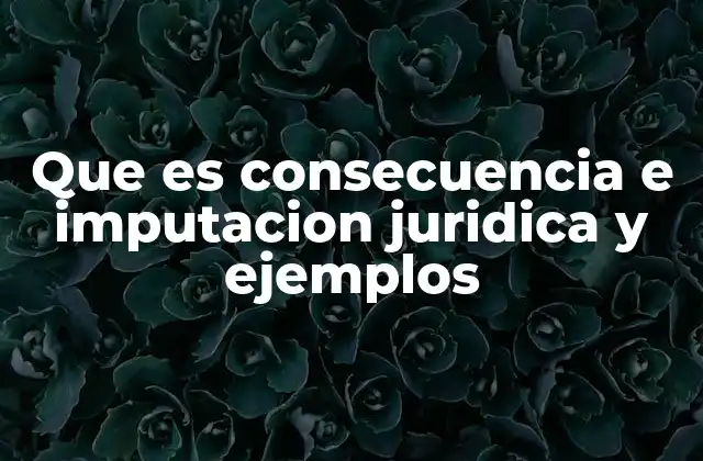 Que es Consecuencia e Imputacion Juridica y Ejemplos