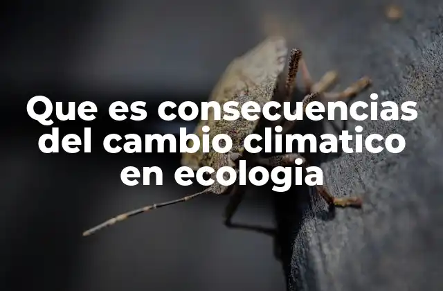 Que es Consecuencias Del Cambio Climatico en Ecologia