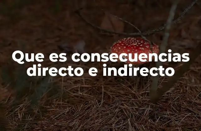 Que es Consecuencias Directo e Indirecto