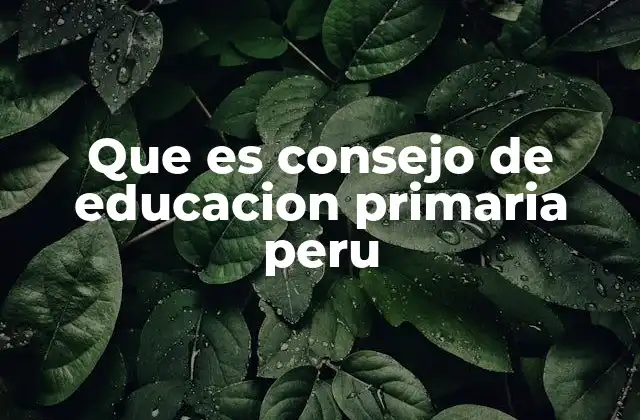 Que es Consejo de Educacion Primaria Peru