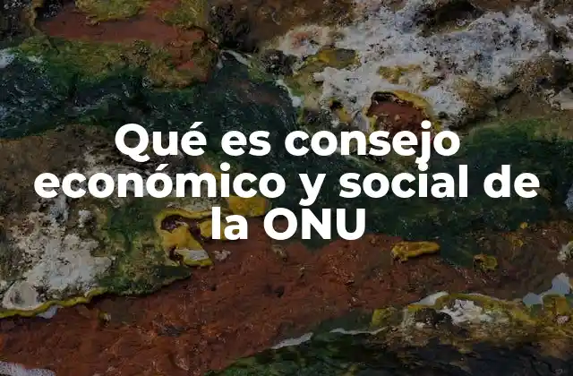 Qué es Consejo Económico y Social de la Onu