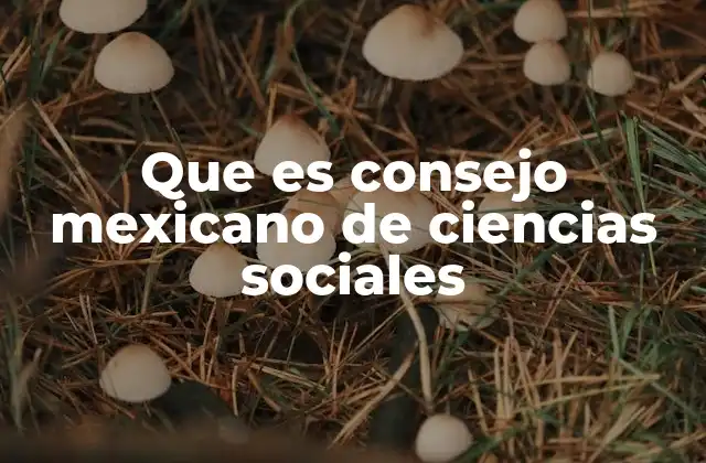 Que es Consejo Mexicano de Ciencias Sociales 2 El rol del Consejo Mexicano de Ciencias Sociales en la educación superior