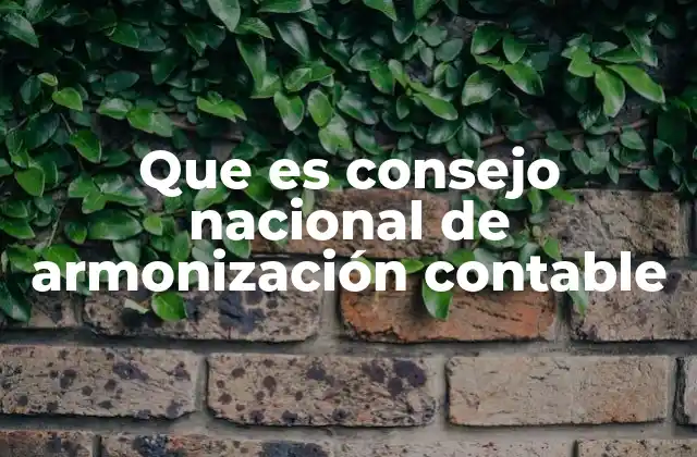 Que es Consejo Nacional de Armonización Contable