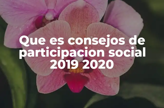 Que es Consejos de Participacion Social 2019 2020