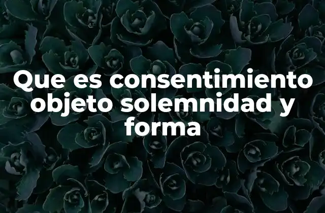 Que es Consentimiento Objeto Solemnidad y Forma